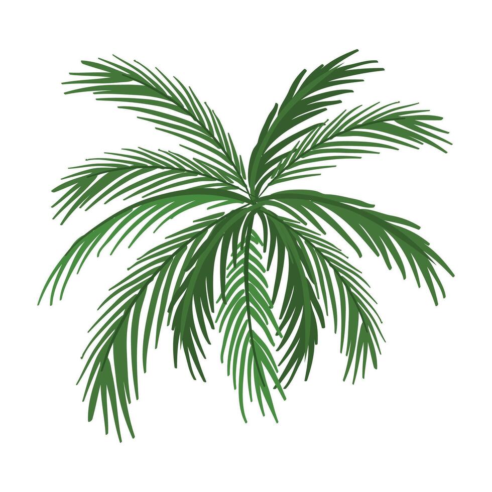 palm leaves against white background vector