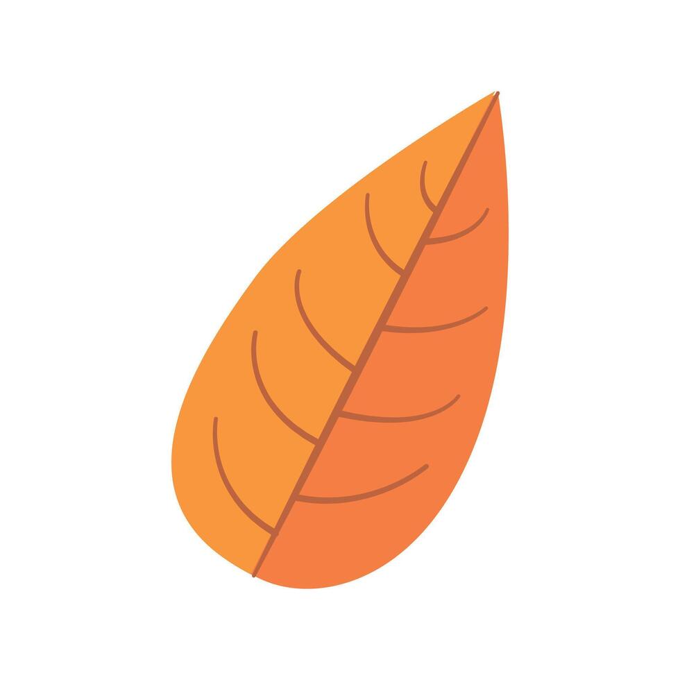 Lovely tropical leaf with flat design vector