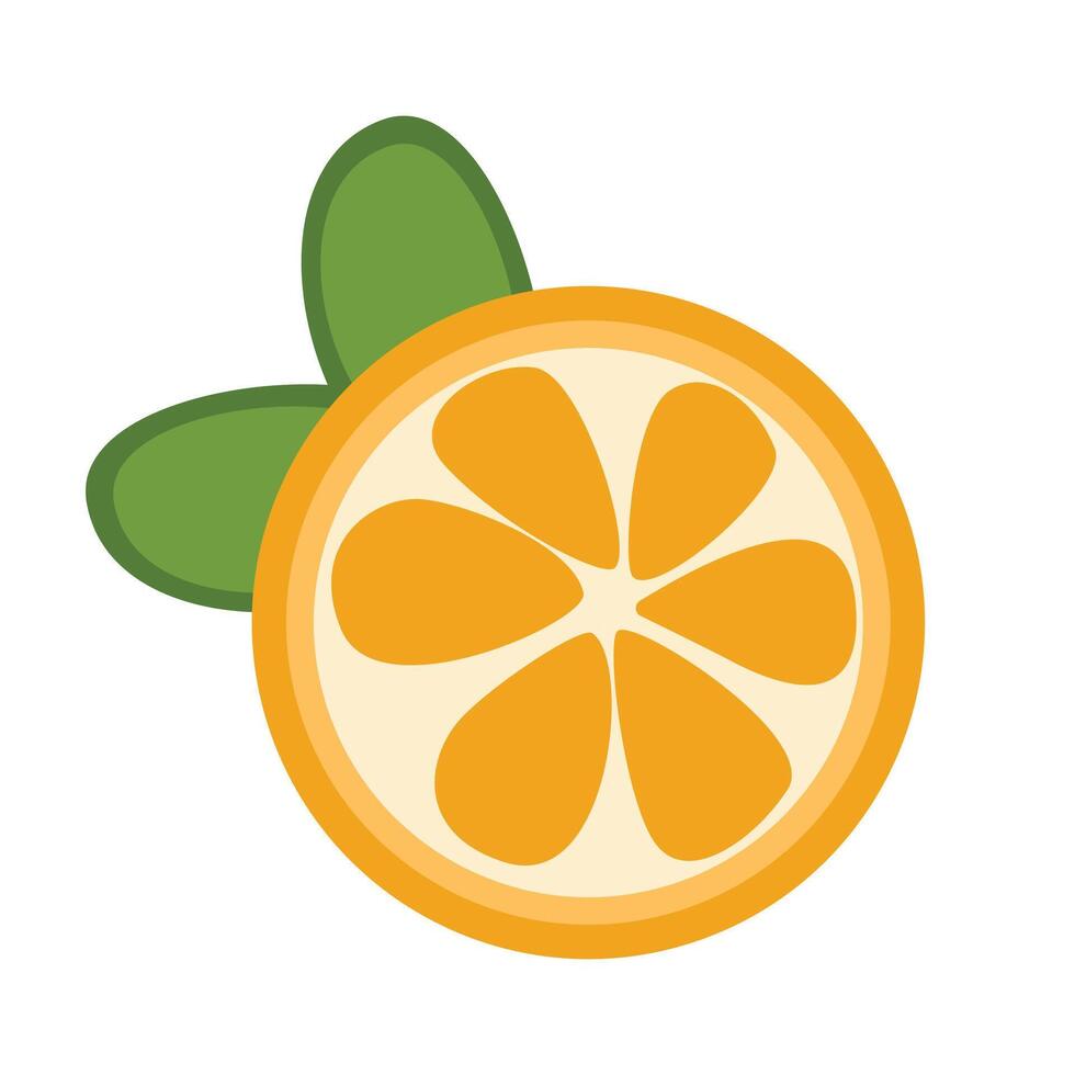 Fresh orange citrus fruit on white background vector