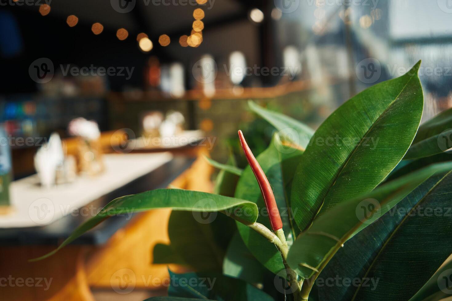 borroso atención antecedentes restaurante adjunto terraza foto