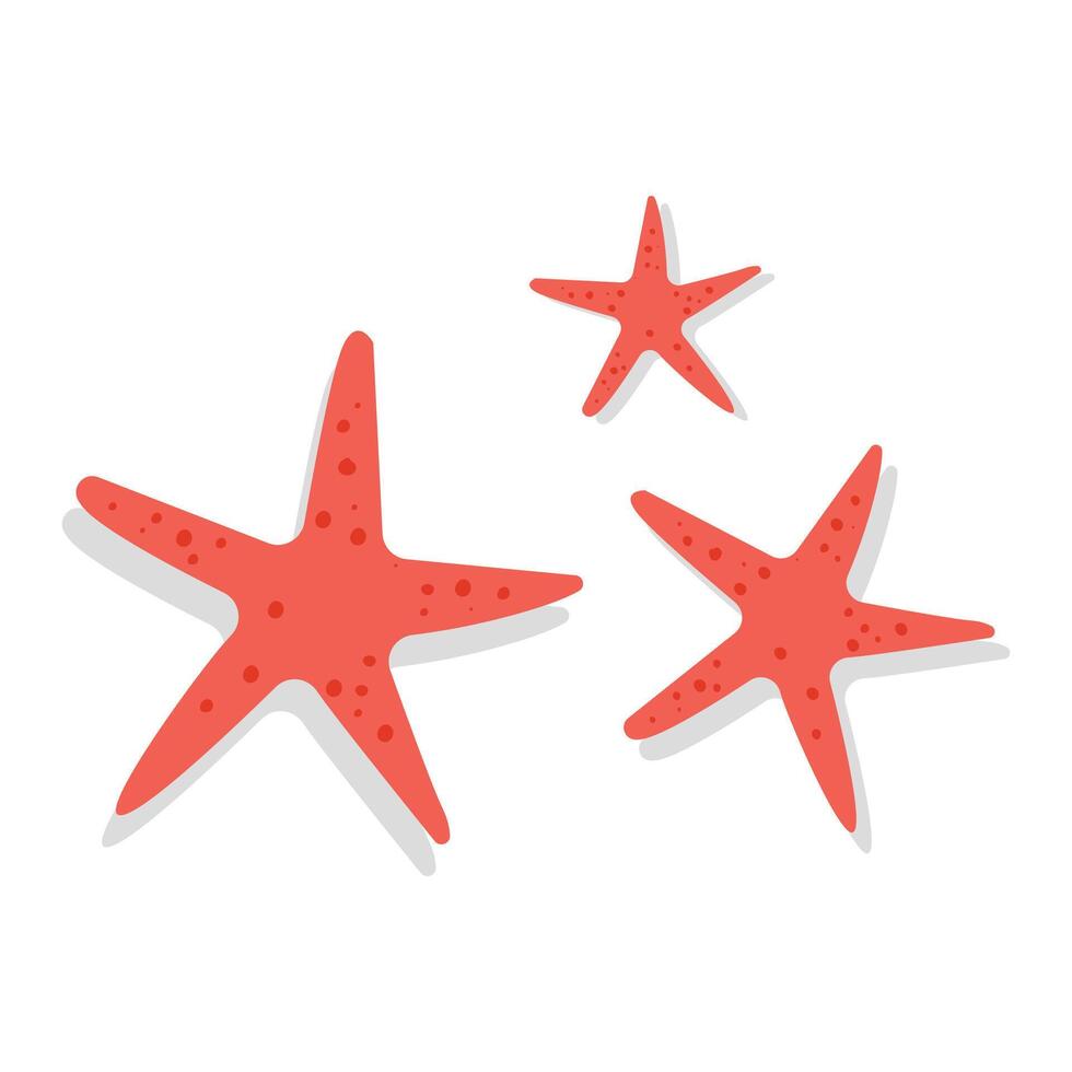 red starfish illustrarion on white background vector