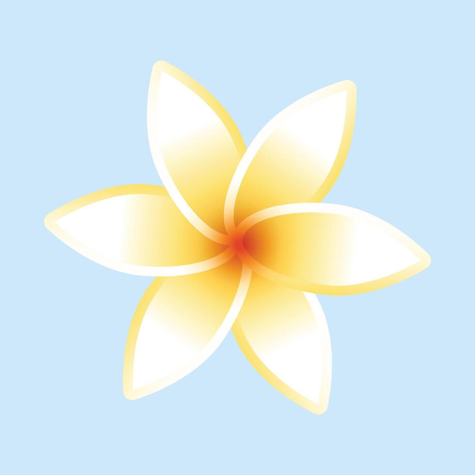 Plumeria flower isolated on white background vector