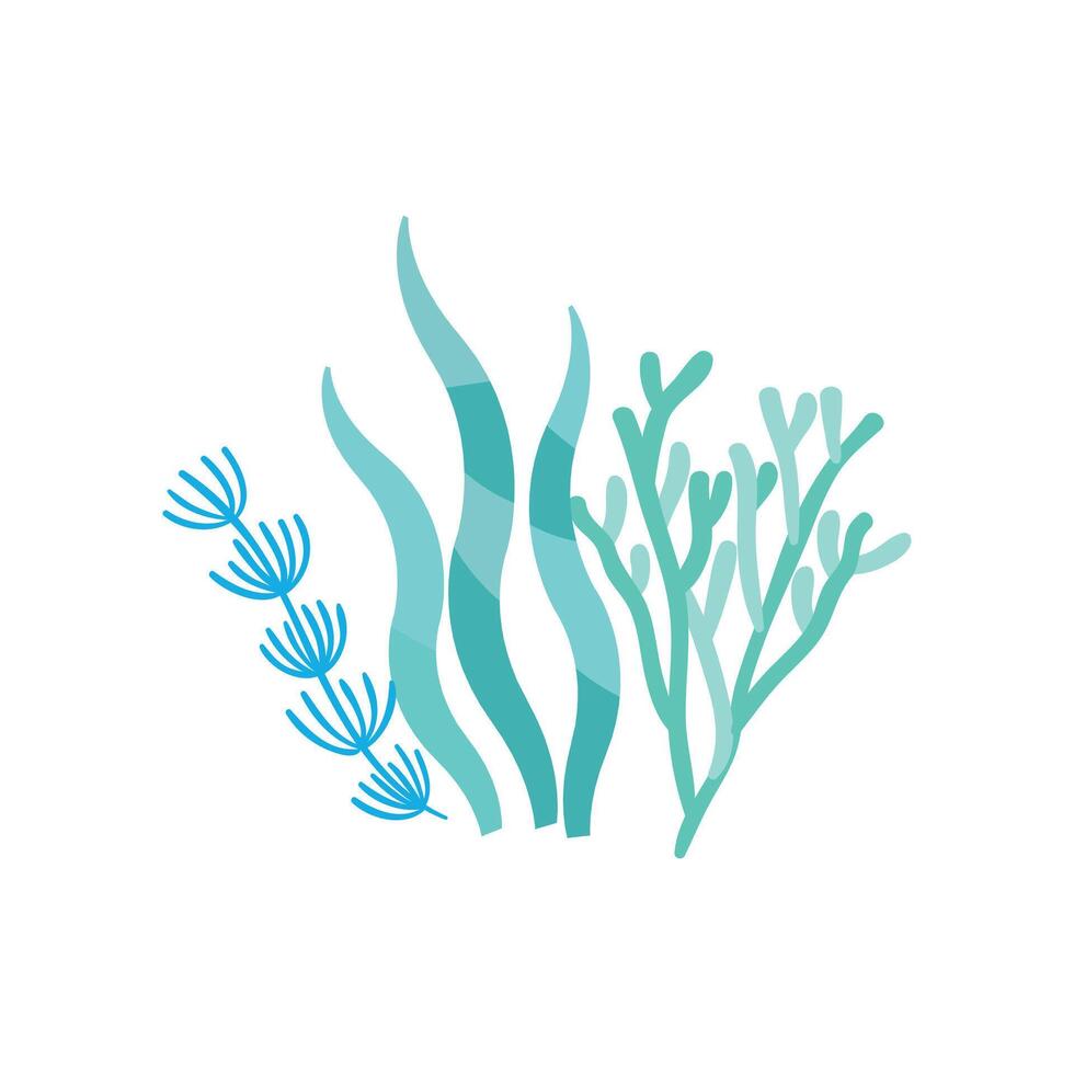 Flat coral illustration on white background vector