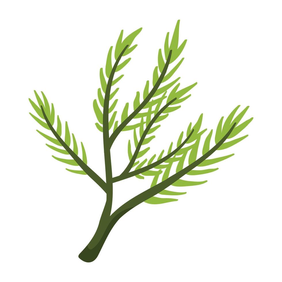 flower plant with leaves and foliage flora botany vector