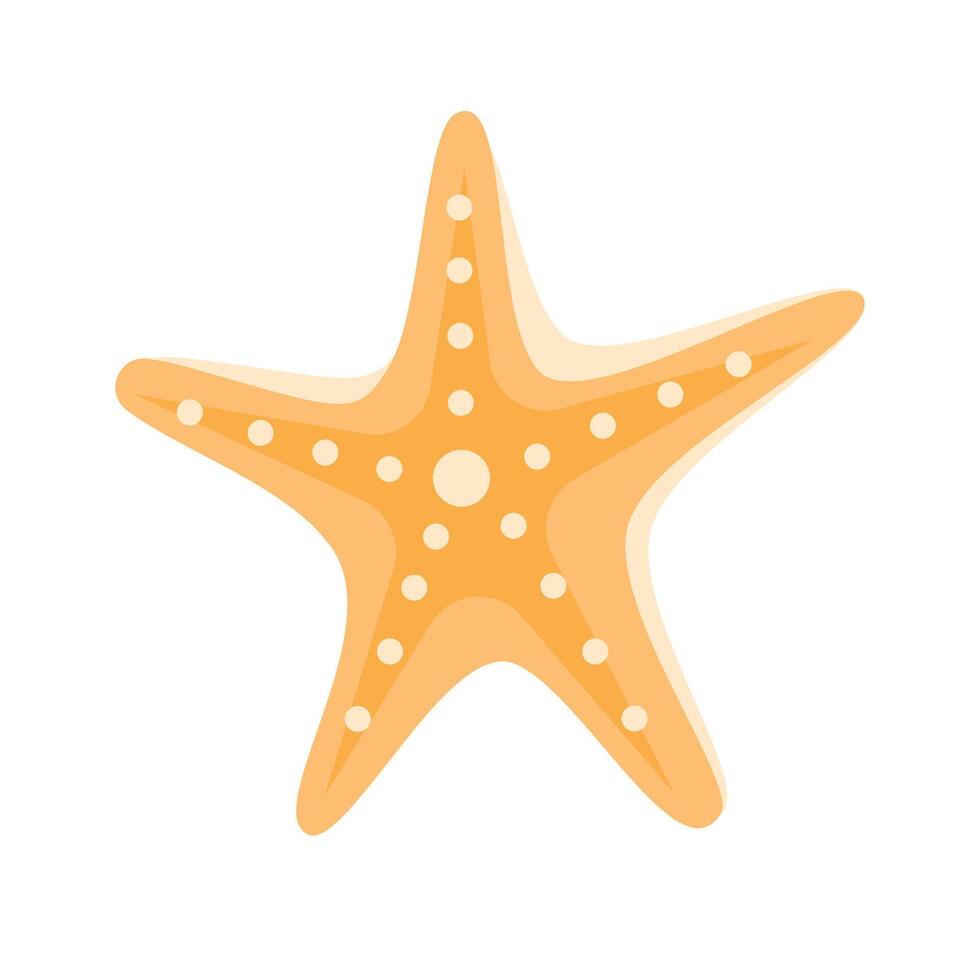 estrella de mar tropical vida marina animal icono en blanco antecedentes vector