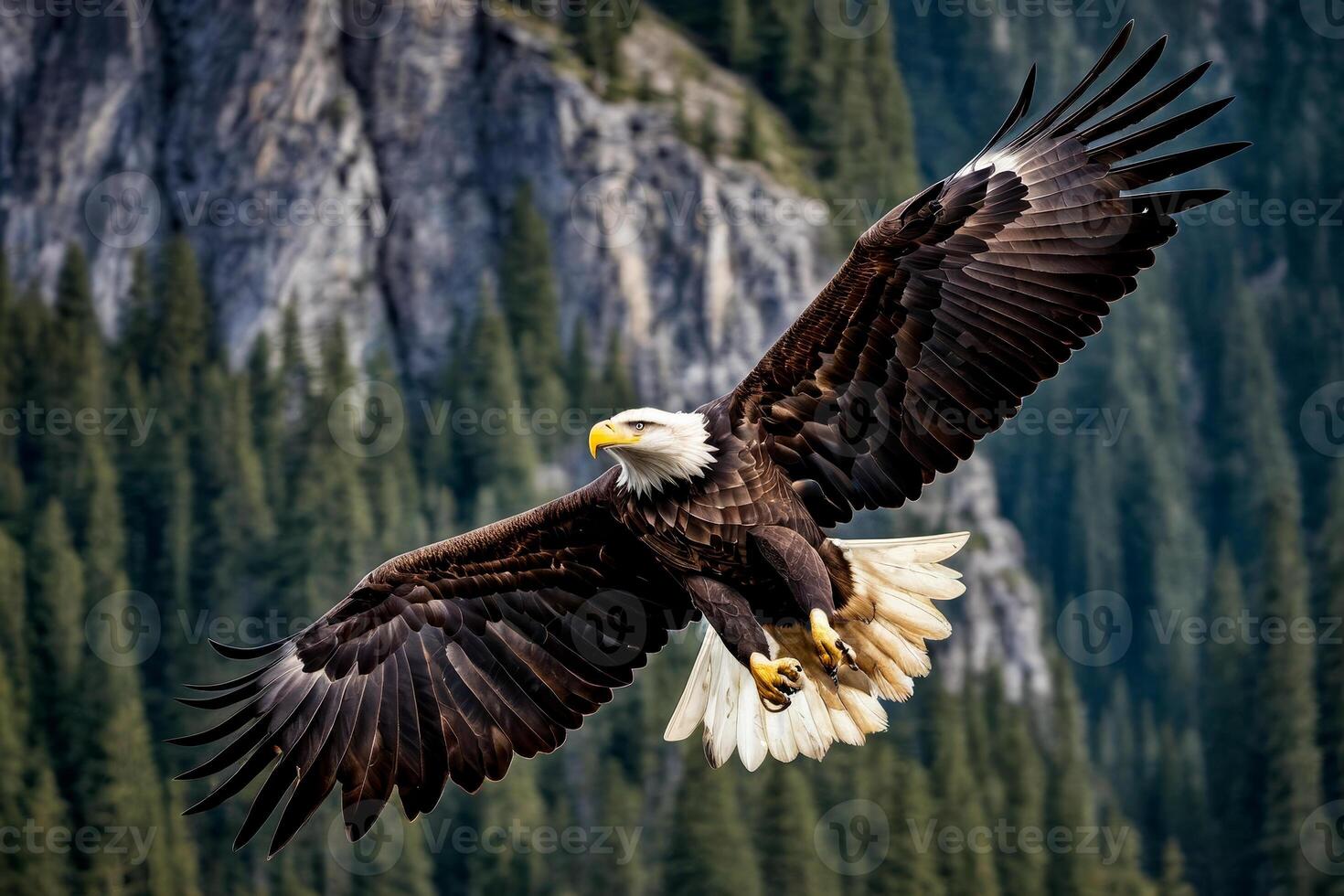 Bald eagle soars through the air with its wings fully spread out photo