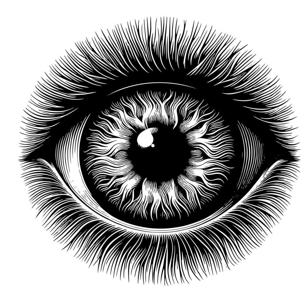 negro y blanco ilustración de el humano ojo iris vector