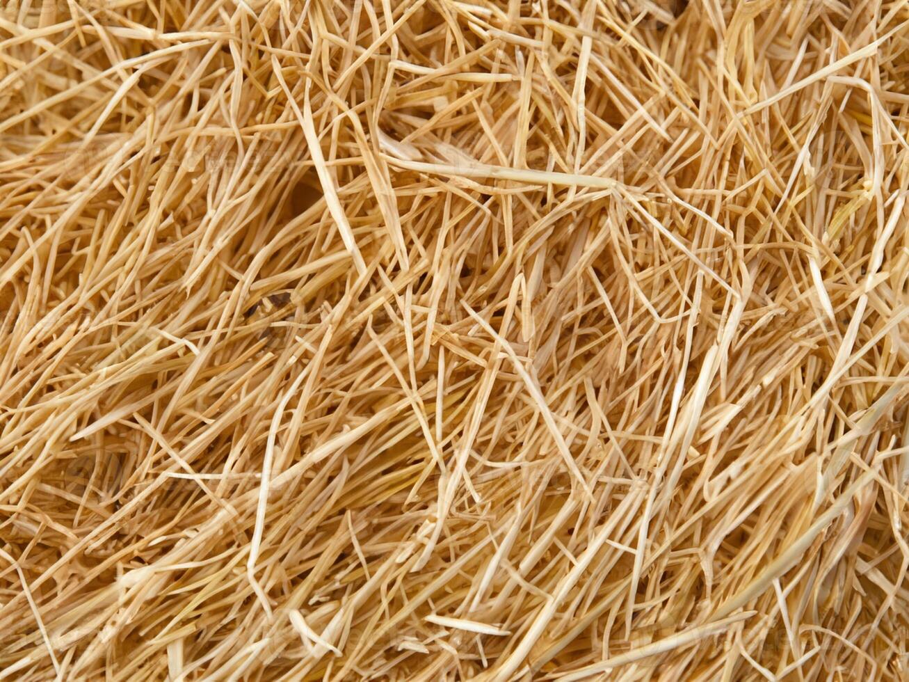 straw on white background, abstract background photo