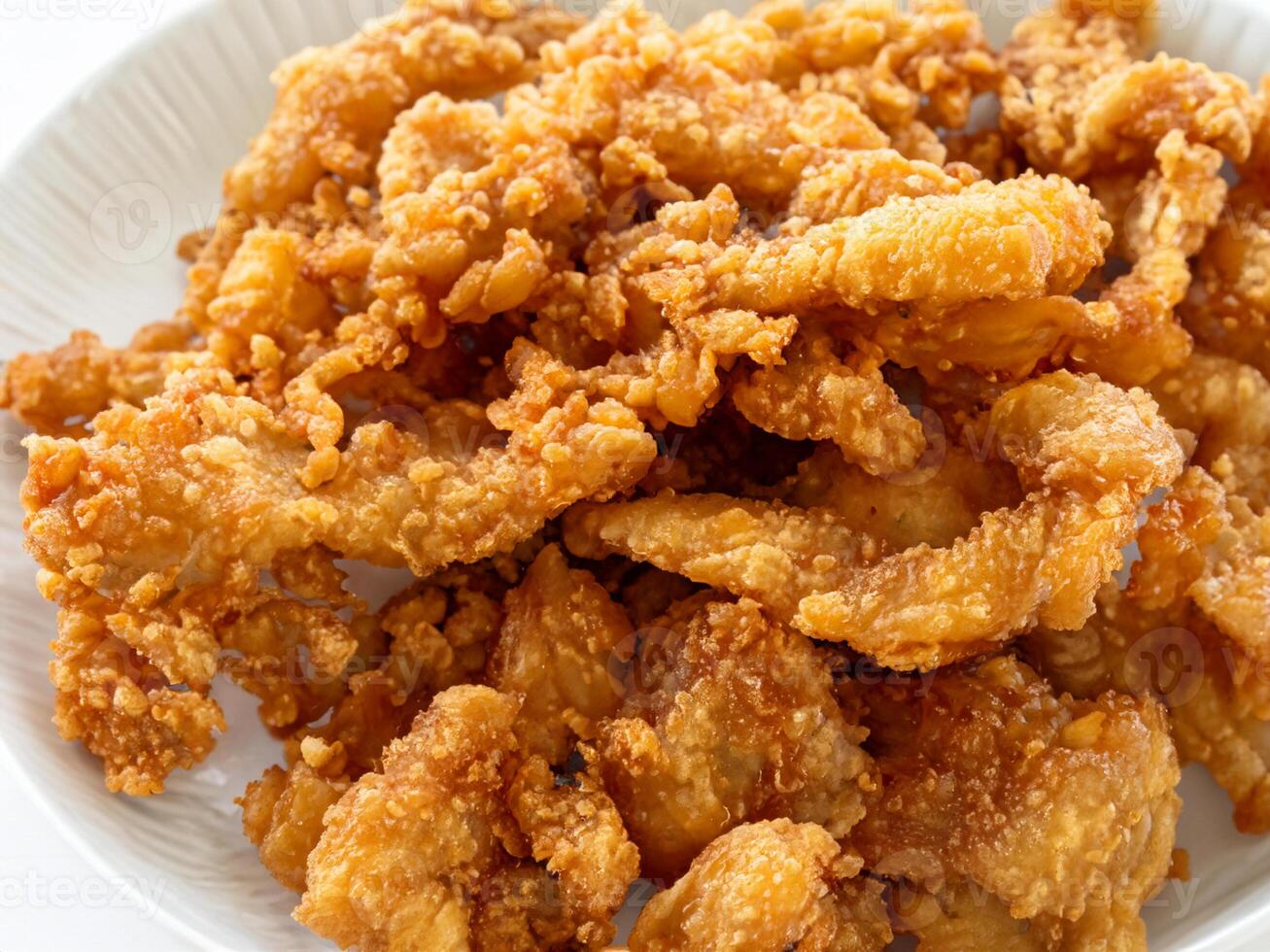 fried chicken on white dish photo