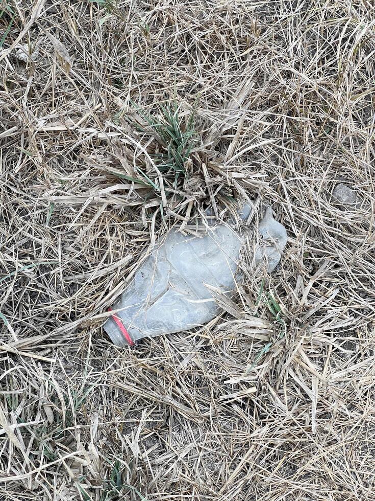 basura en el bosque. ambiental contaminación foto