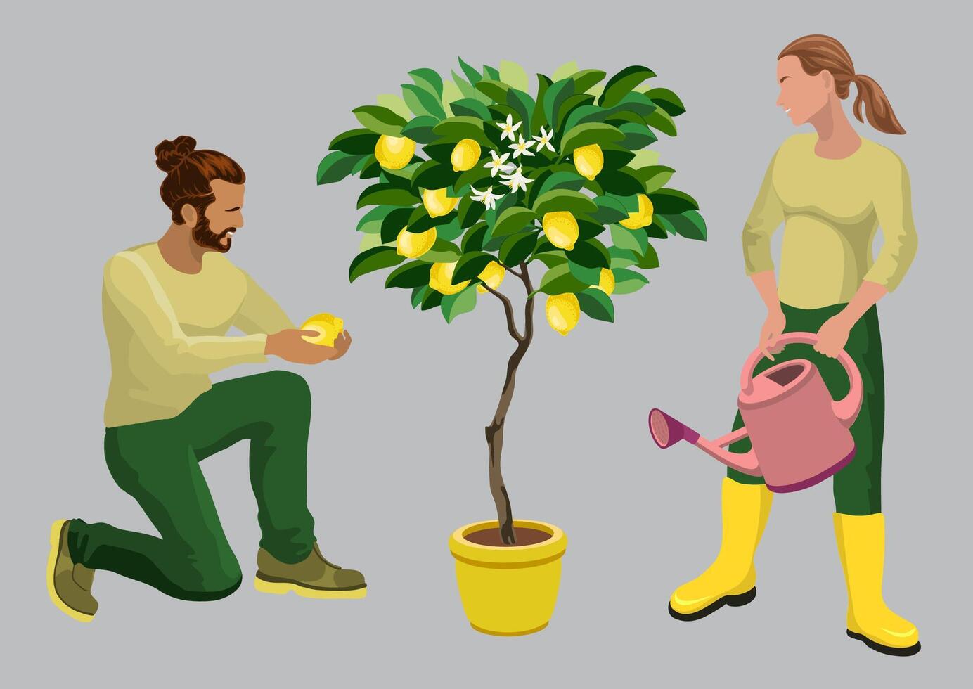 A young man and girl take care of the indoor Lemon Tree. Woman water plant from a watering can. Isometric people with a houseplant. Flower shop workers, sellers. 3D Isometric illustration. vector