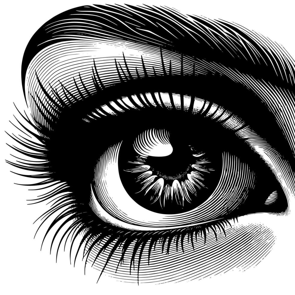 Black and White Illustration of the Human Eye Iris vector