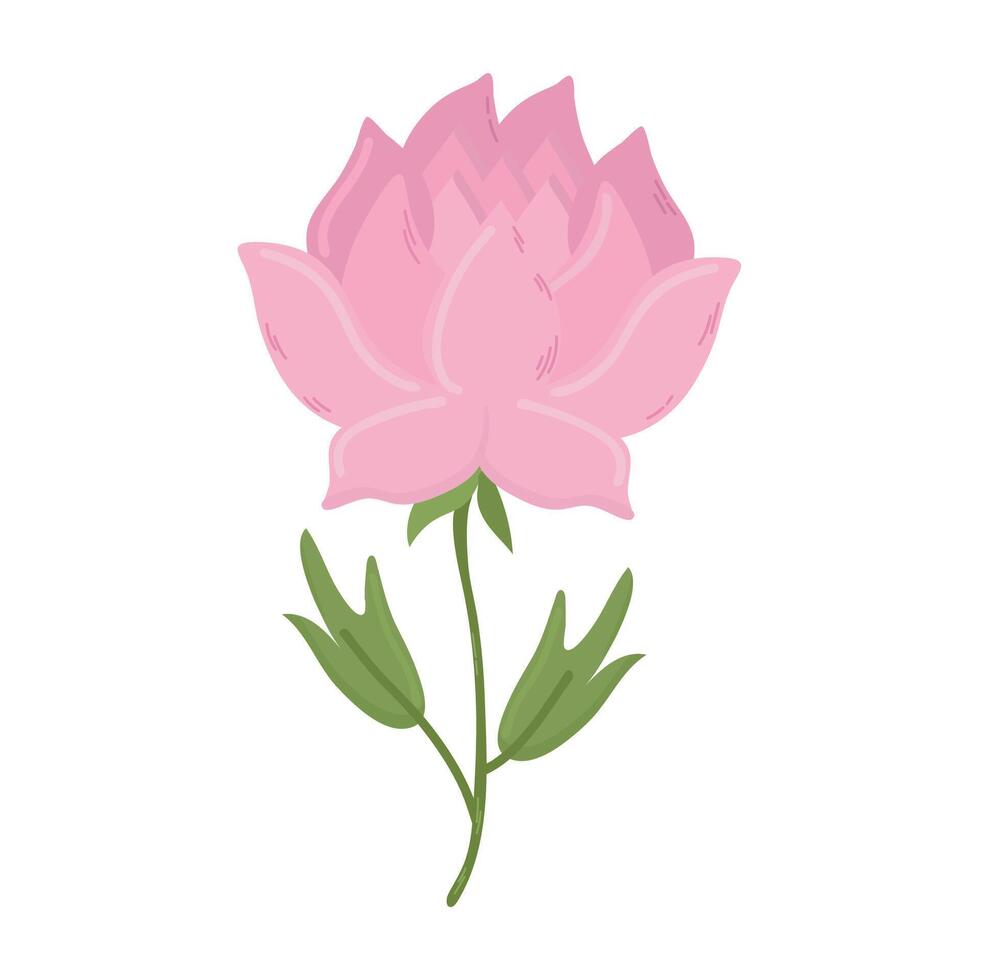 Peony icon clipart avatar logotype isolated illustration vector