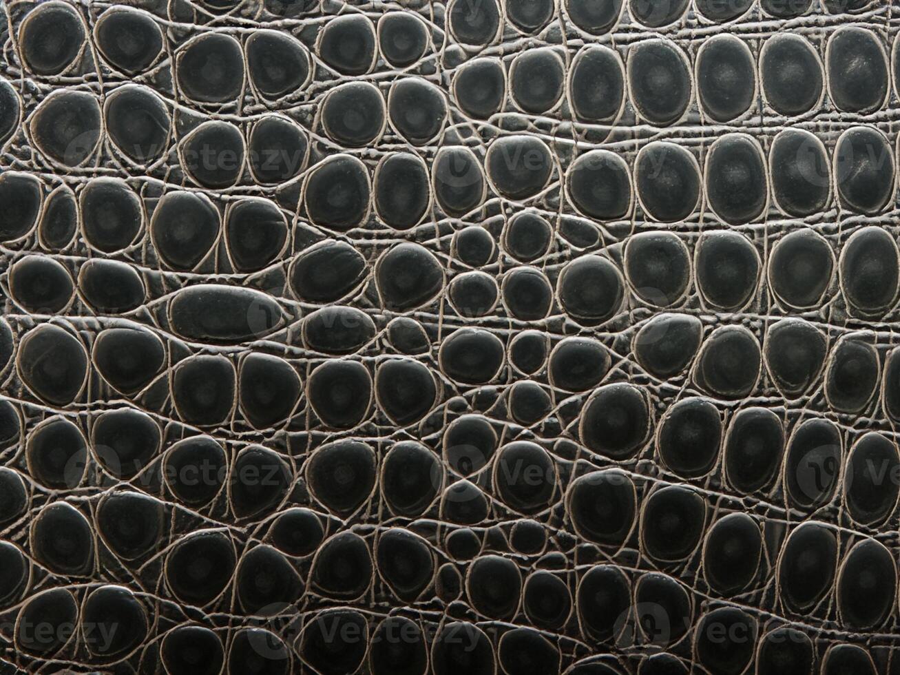 black crocodile skin texture photo