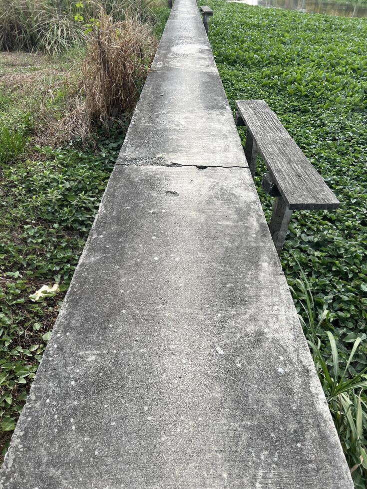 old cement way in the park photo