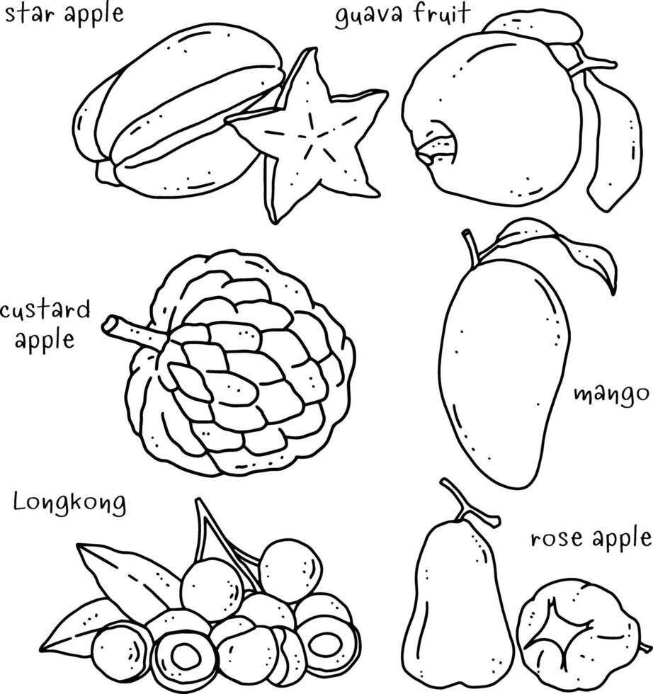 fruits line element design for templates. vector