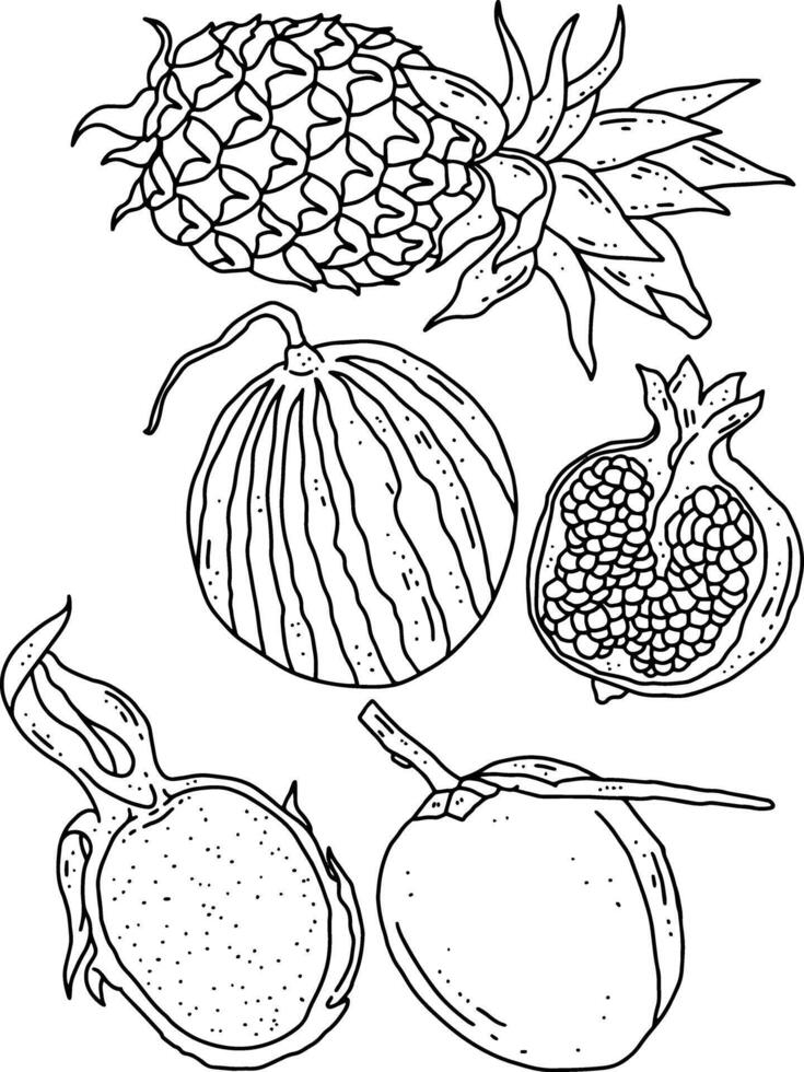 fruits line element design for templates vector