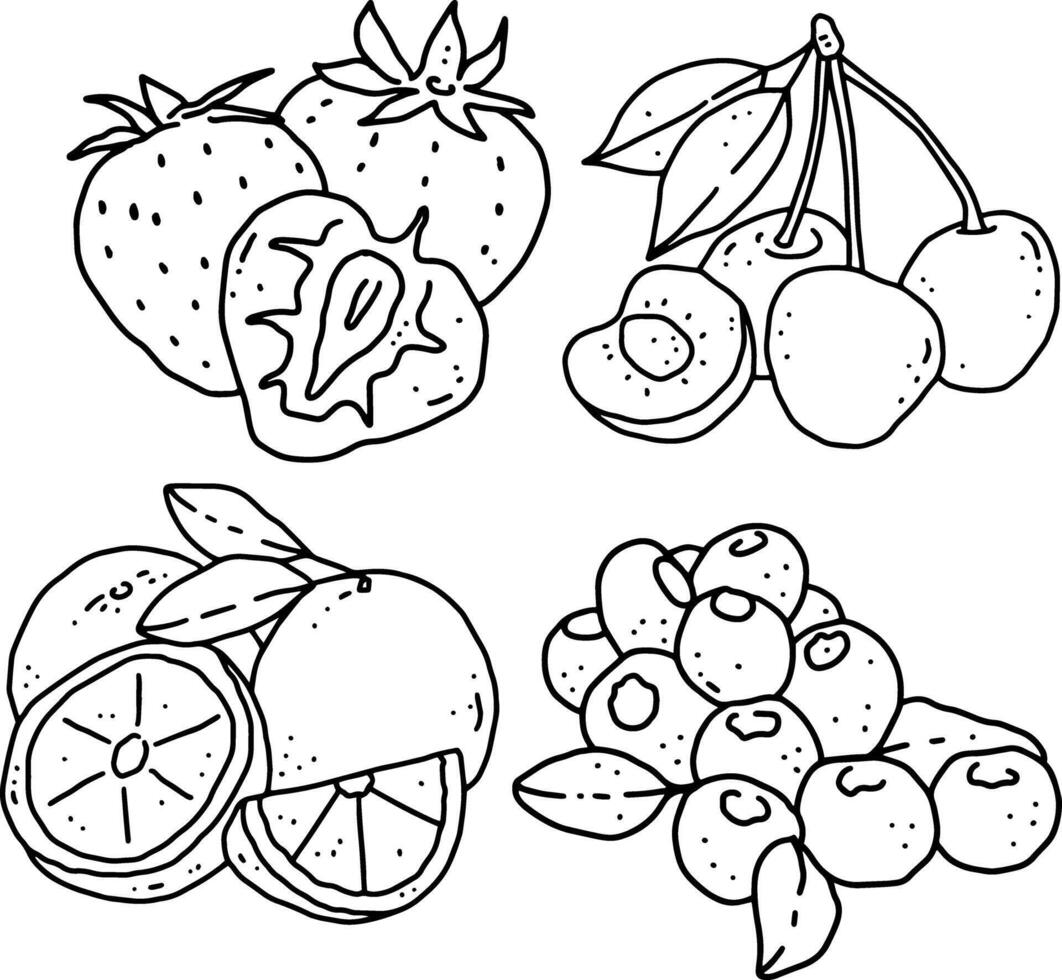 fruits line element design for templates. vector