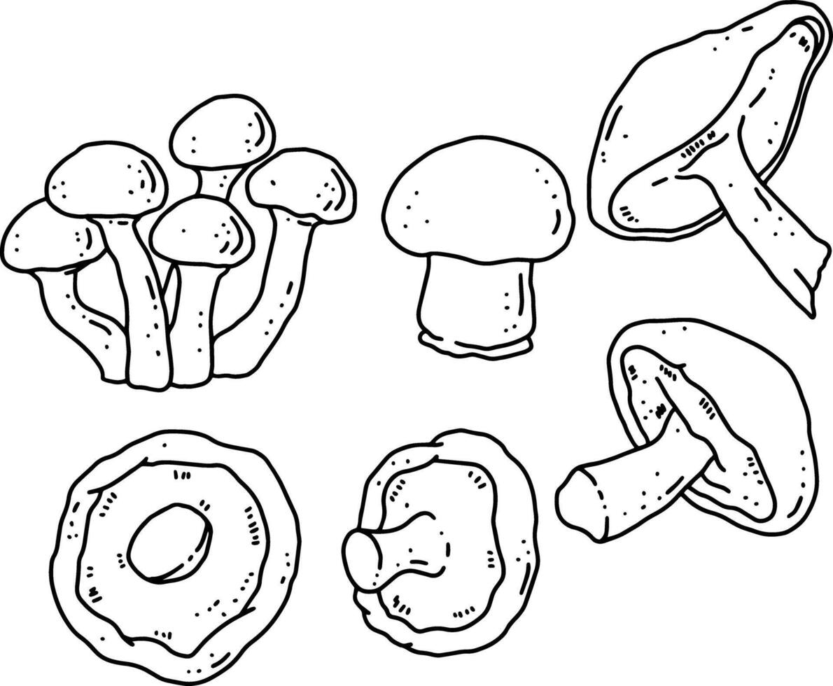 mushroom line element design for templates. vector