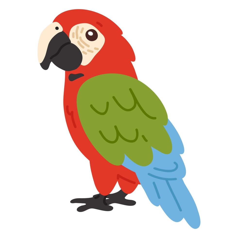 doodle macaw parrot vector