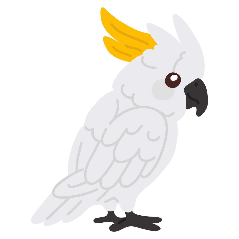 doodle cockatoo parrot vector