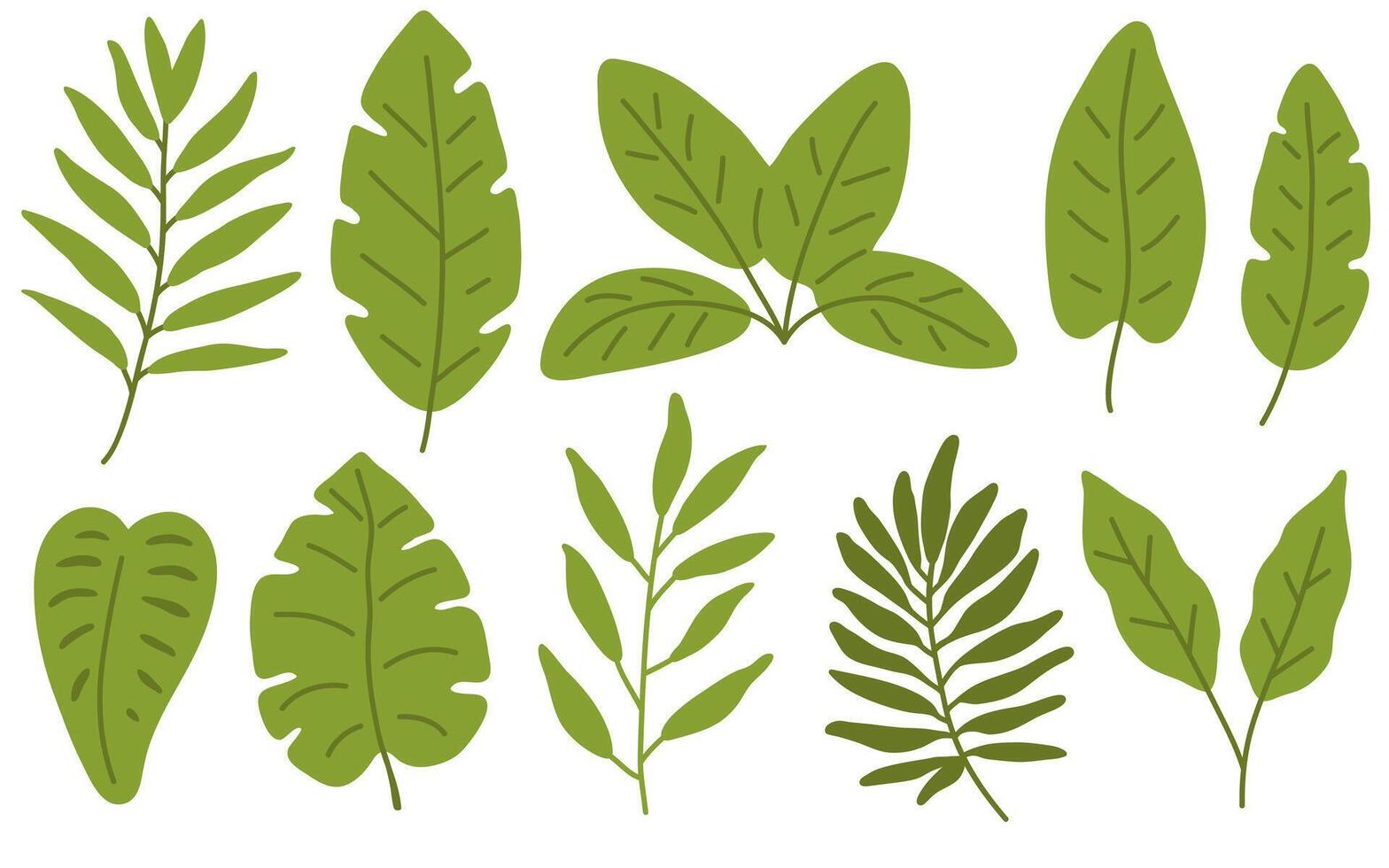 set of tropical leaves vector