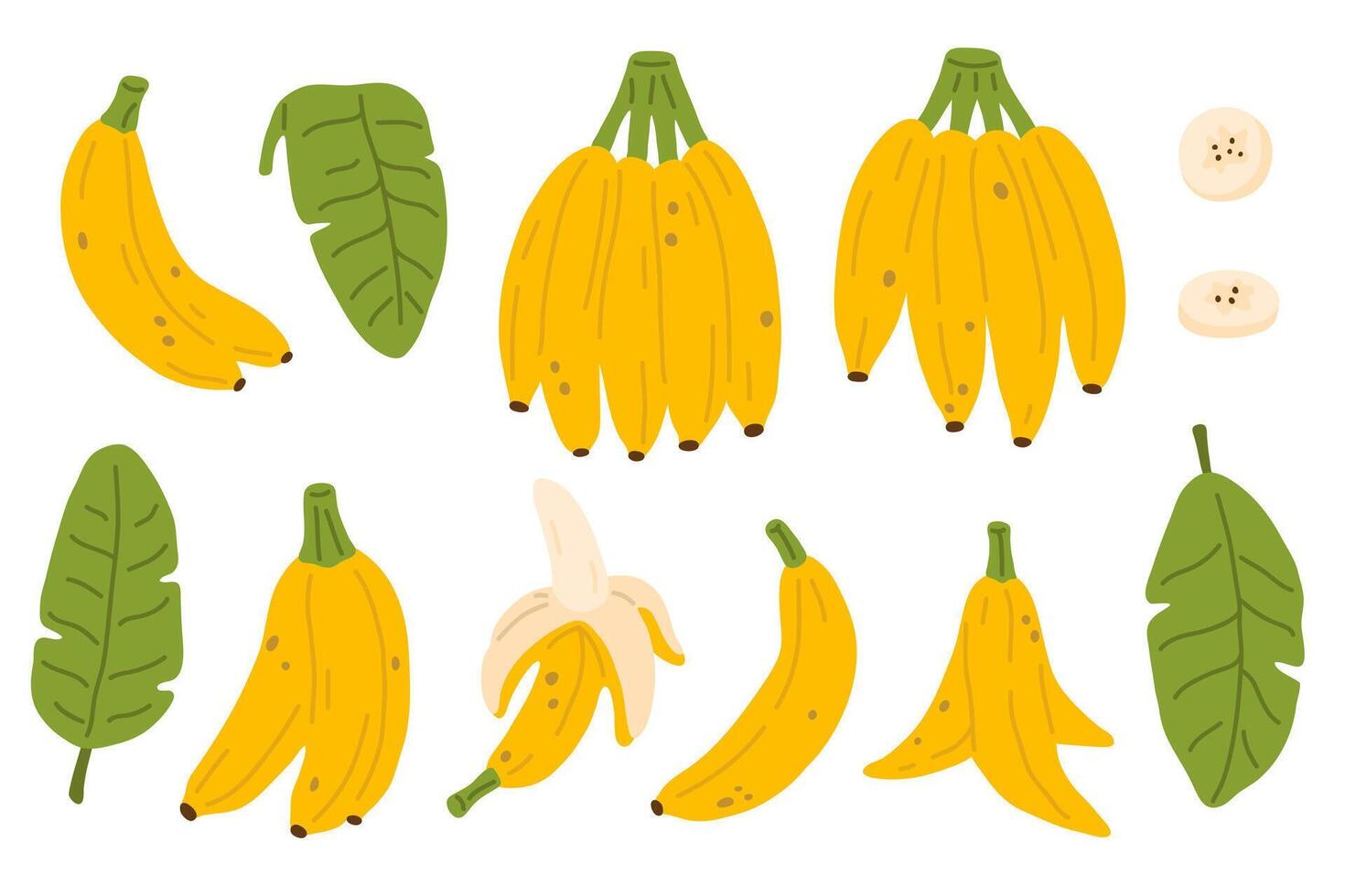 set of bananas and leaves vector