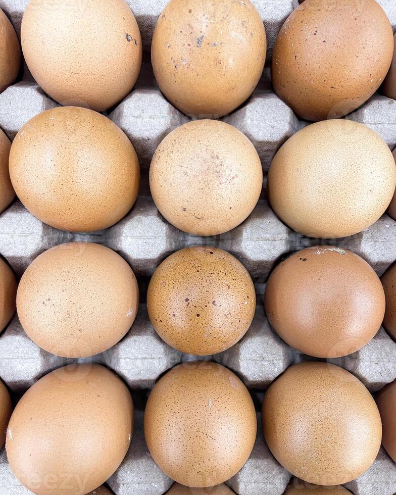 Brown eggs stacked in rows in paper tray. top view photo