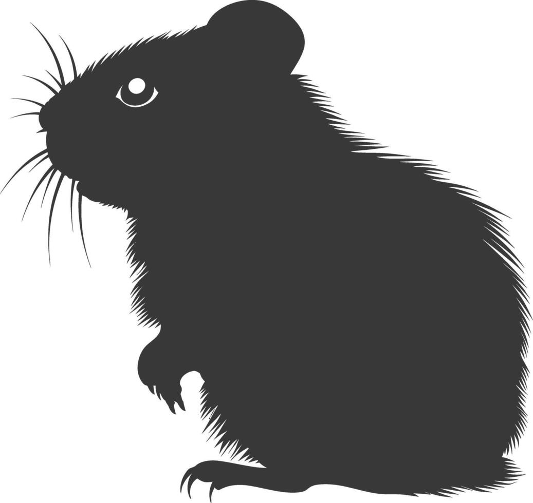 Silhouette hamster animal black color only full body vector