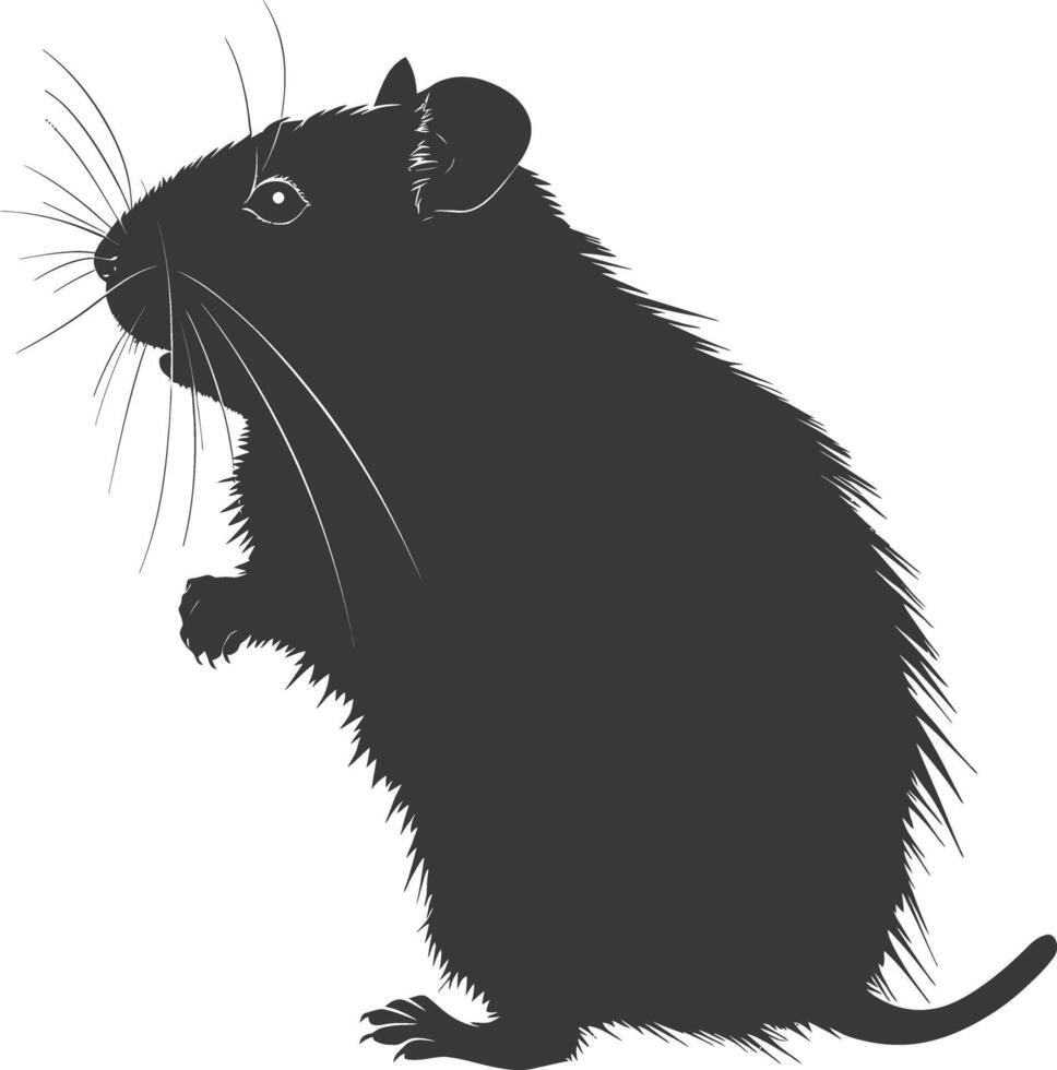 Silhouette hamster animal black color only full body vector