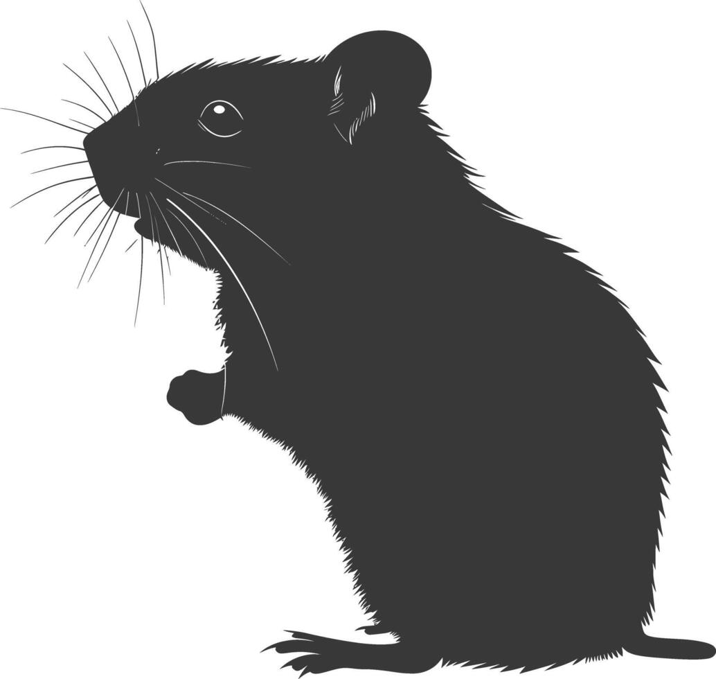 Silhouette hamster animal black color only full body vector