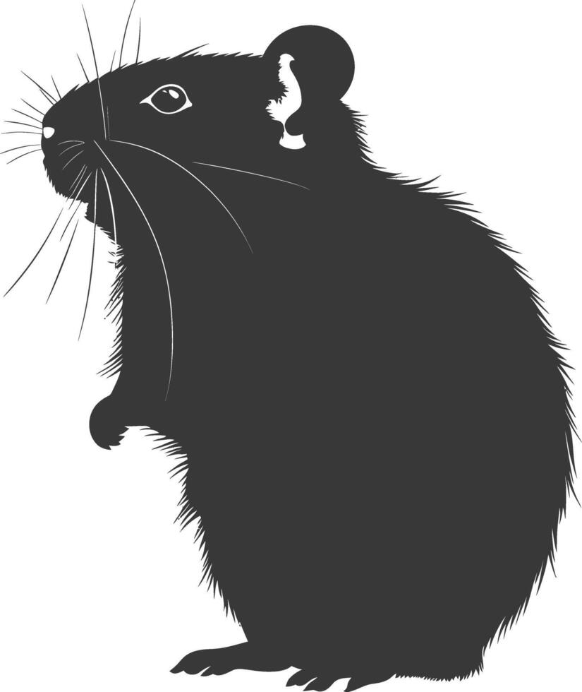 Silhouette hamster animal black color only full body vector