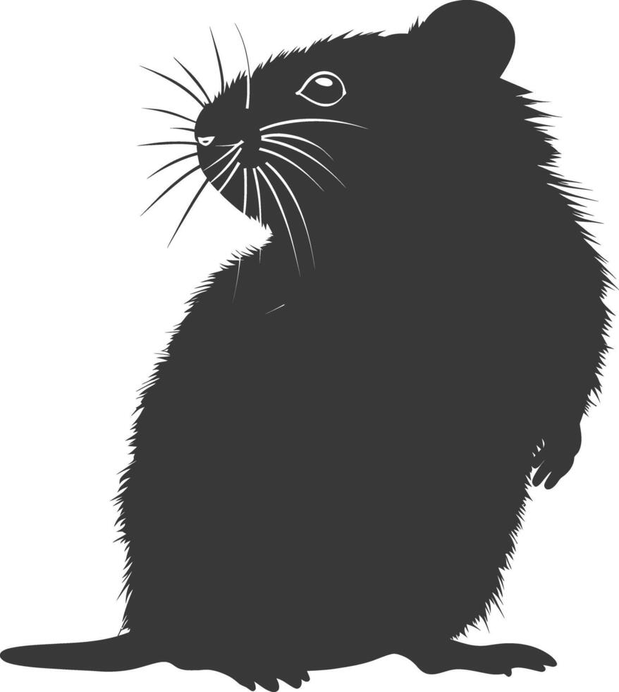 Silhouette hamster animal black color only full body vector