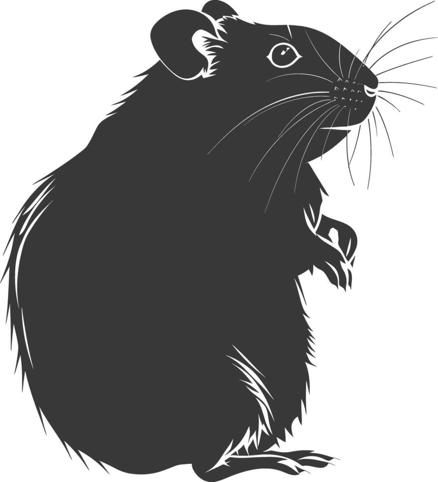 Silhouette hamster animal black color only full body vector