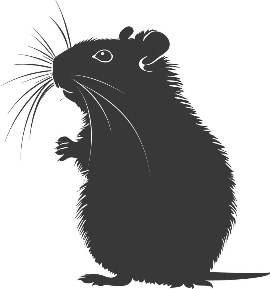 Silhouette hamster animal black color only full body vector