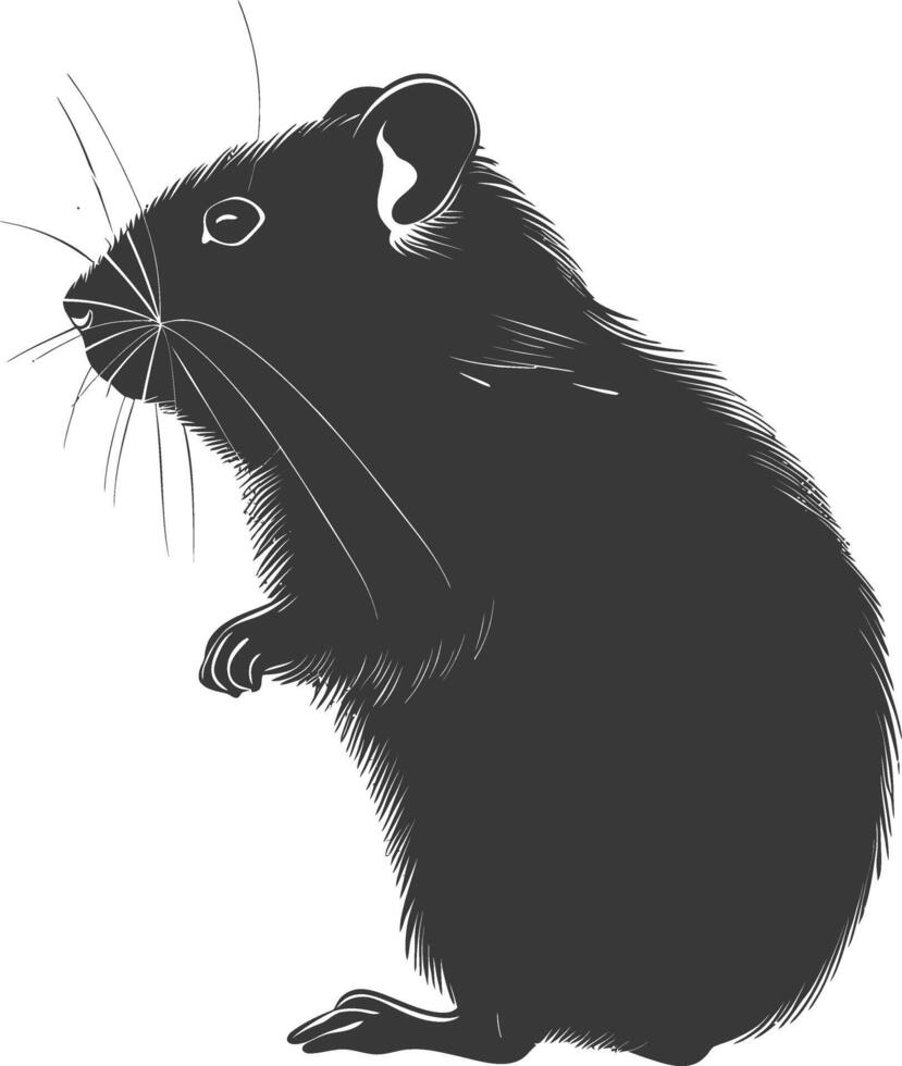 Silhouette hamster animal black color only full body vector