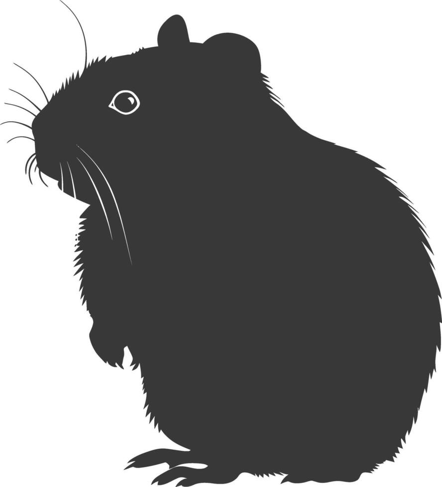 Silhouette hamster animal black color only full body vector