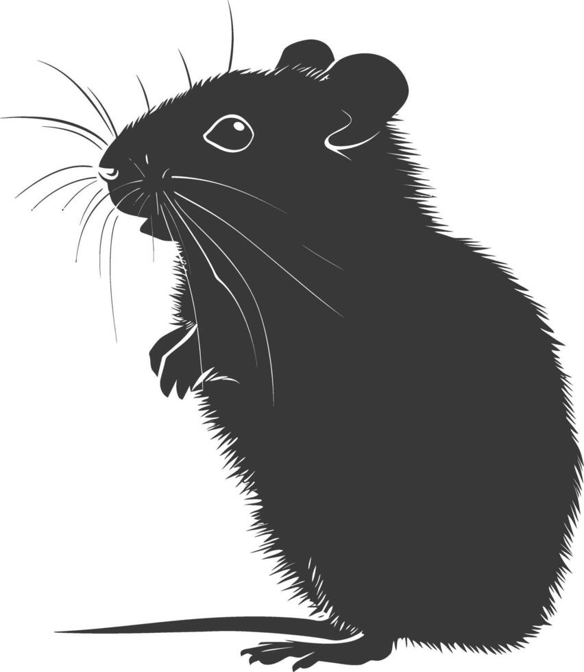 Silhouette hamster animal black color only full body vector