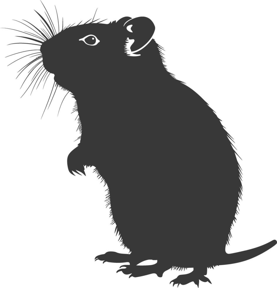 Silhouette hamster animal black color only full body vector