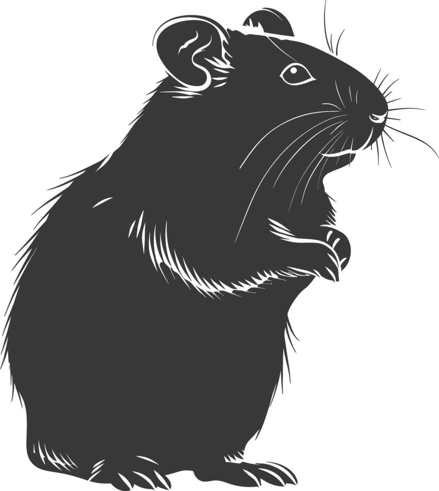 Silhouette hamster animal black color only full body vector