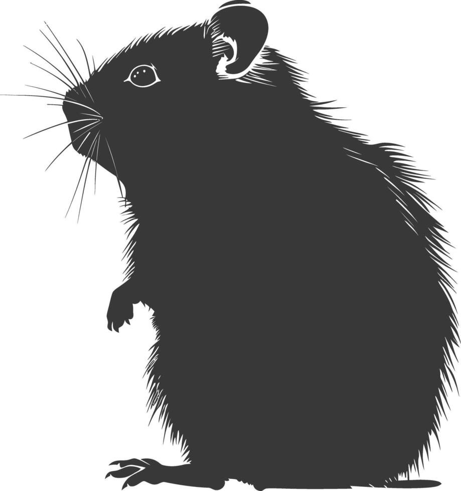 Silhouette hamster animal black color only full body vector