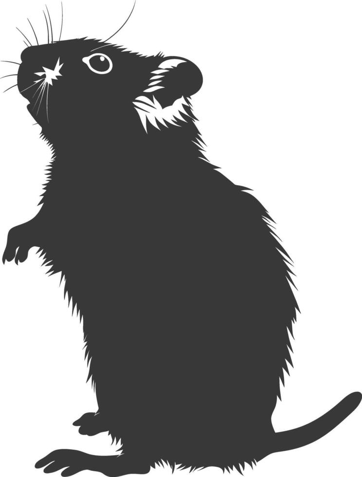 Silhouette hamster animal black color only full body vector