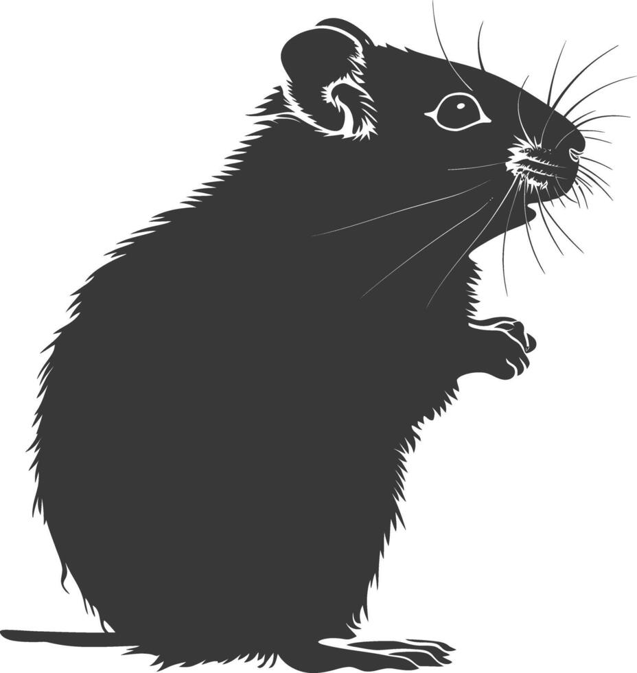 Silhouette hamster animal black color only full body vector