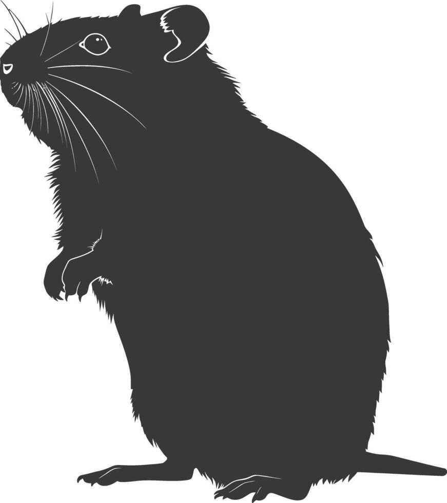 Silhouette hamster animal black color only full body vector