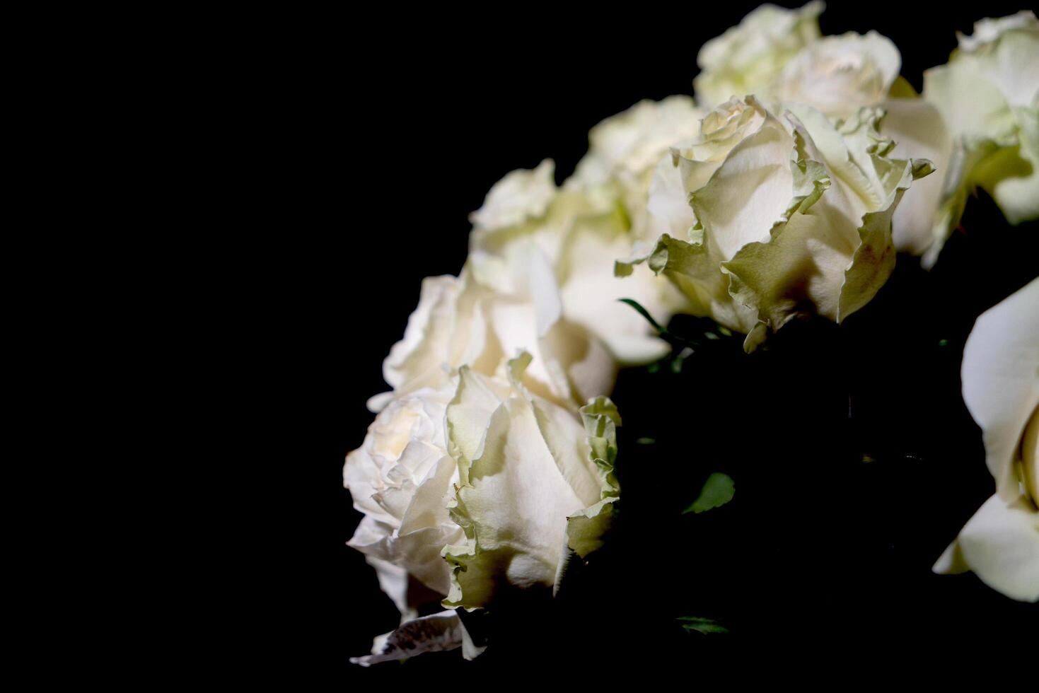 A bouquet of flowers in close-up photo