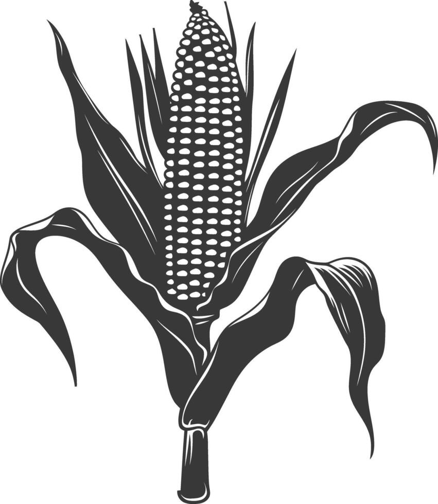 Silhouette corn black color only full vector