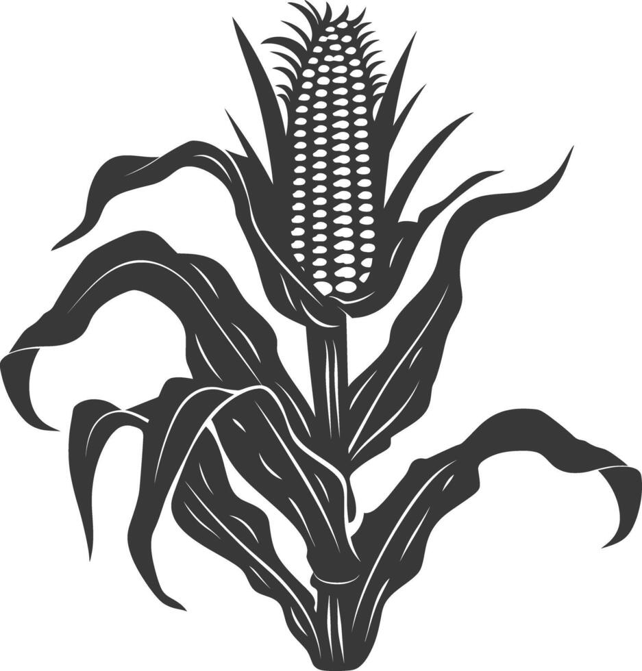 Silhouette corn black color only full vector