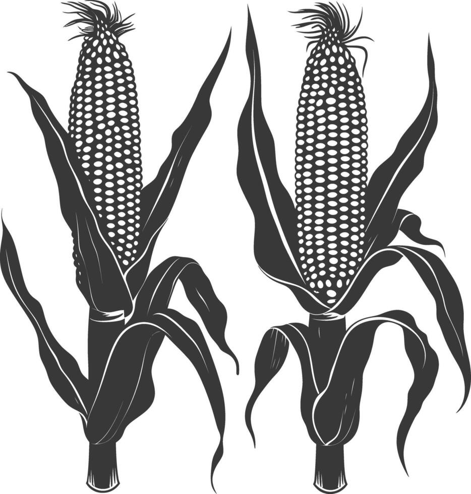 Silhouette corn black color only full vector