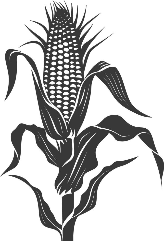 Silhouette corn black color only full vector