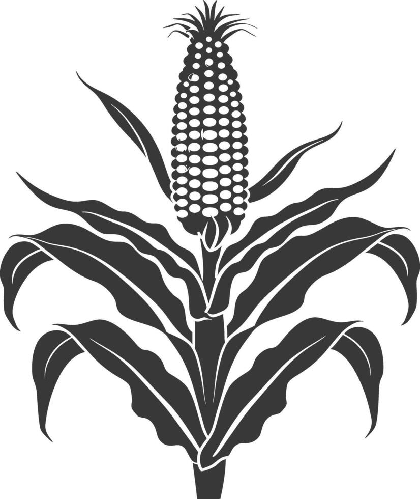 Silhouette corn black color only full vector